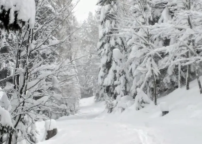 Good Times Gerlitzen *